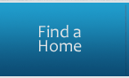 find a home